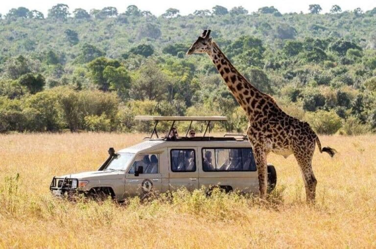 Africa-safari-tours-960x636-min-960x636