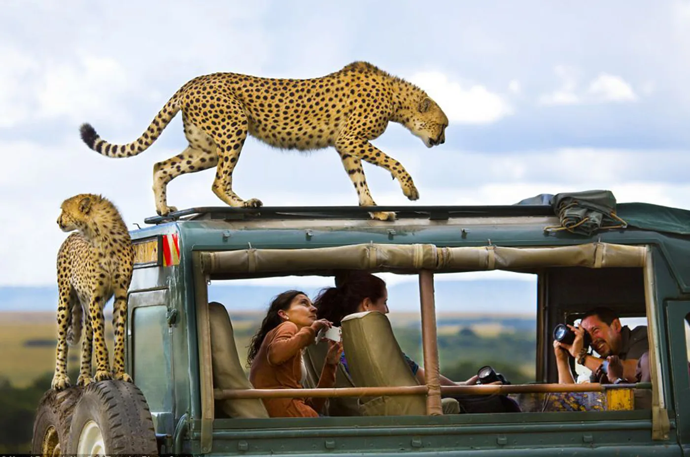 cheetah-safari-jeep-kare