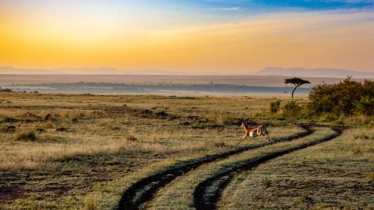 Top attraction _Uganda
