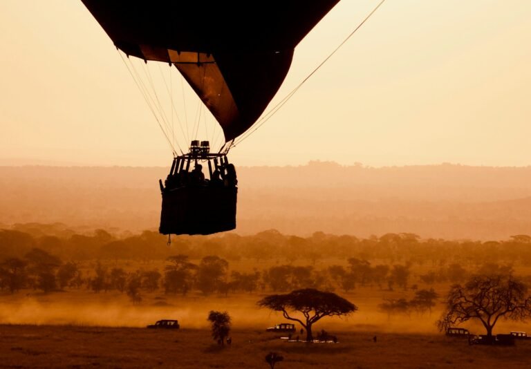 How to Plan A Safari in Tanzania - In easy steps